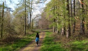 Frau geht beim Waldbaden durch einen Wald