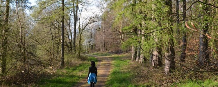 Frau spaziert beim Waldbaden durch einen Wald